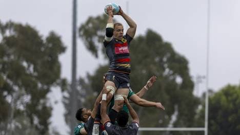 "Wolfpack" oben dabei