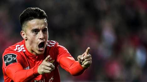 Benfica Lissabon hat die Trainerfrage gelöst