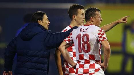 Croatia v Iceland - FIFA 2014 World Cup Qualifier: Play-off Second Leg
