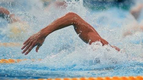 Marco Troll ist neuer Präsident des DSV