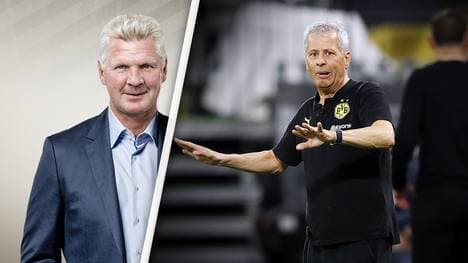 Stefan Effenberg stärkt BVB-Trainer Lucien Favre den Rücken