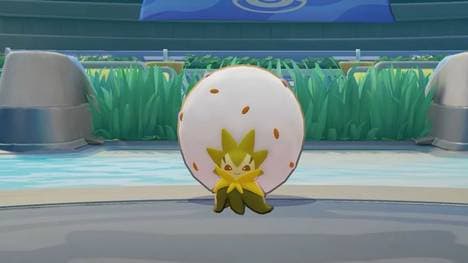 Cottomi - Ein eher unbekannteres Pokemon, das auf der Supporter-Position zuhause ist