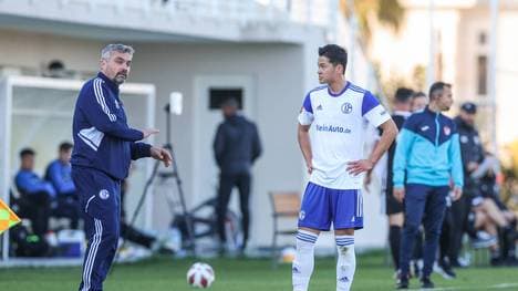 Schalke verpasst Sieg gegen Zürich