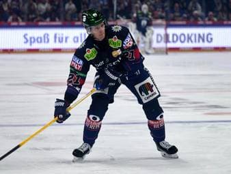 Duo fehlt den Eisbären