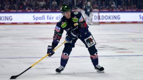 Manuel Wiederer vergrößert das Eisbären-Lazarett