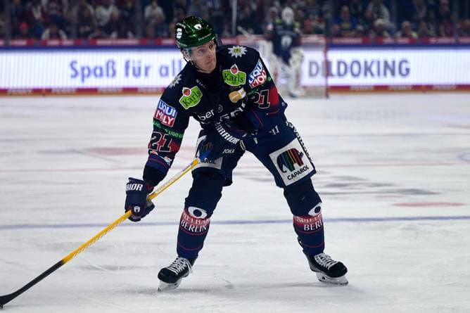 Duo fehlt den Eisbären