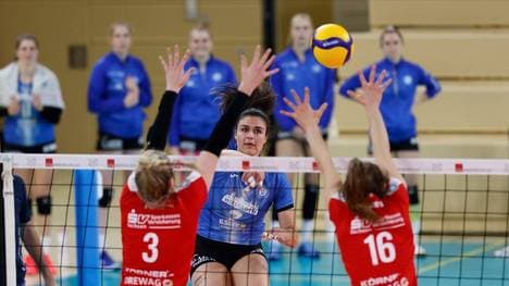 Dresden trifft am Samstag auf Wiesbaden