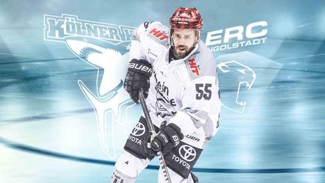In Spiel 7 treffen die Kölner Haie zu Hause auf Ingolstadt