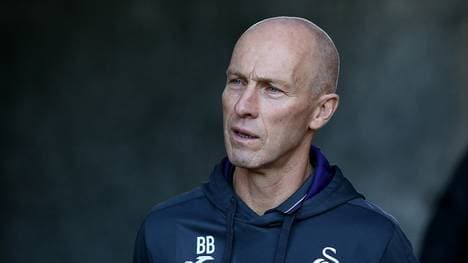 Swansea City v Crystal Palace - Premier League