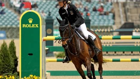 FN hat eine Verletzung des Tierschutzgesetzes angzeigt