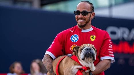 F1-Star Lewis Hamilton trauert um seinen Hund Roscoe 