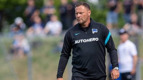 Berlins Trainer Pal Dardai