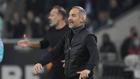 Wird Adi Hütter Nachfolger von Pellegrino Matarazzo?