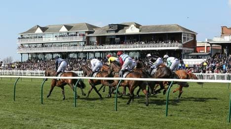 Galopp: Verfahren gegen Trainer eingestellt