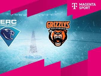 ERC Ingolstadt - Grizzlys Wolfsburg: Tore und Highlights | PENNY DEL