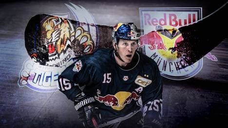 Die Straubing Tigers fordern am Sonntag den Tabellenführer aus München zu Duell