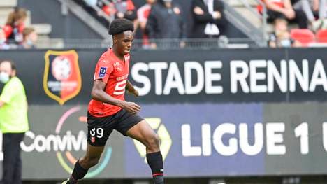 Der FC Bayern verpflichtete Mathys Tel 