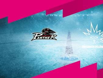 Augsburger Panther - Dresdner Eislöwen: Tore und Highlights | PENNY DEL