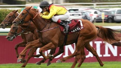 Torquator Tasso mit Rene Piechulek im Jahr 2021 