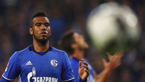 FC Schalke 04 v 1. FC Koeln - Bundesliga
