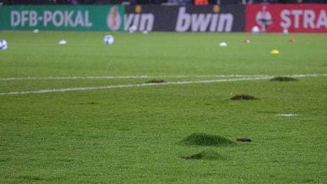 So sah der Platz nach dem Gladbach-Spiel aus