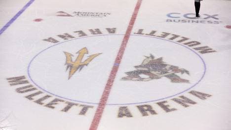 Coyotes vor Abschied aus der Mullett Arena